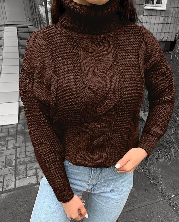 Sorvienne Relaxed Chunky Cable Knit Roll Neck Jumper in Brown