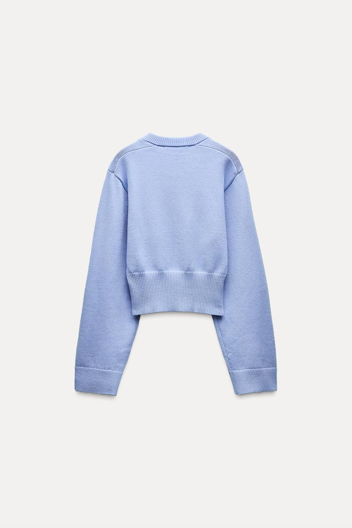 Sorvienne Wide Sleeve Cropped Jumper in Light Blue