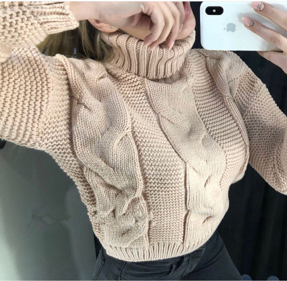Sorvienne Relaxed Chunky Cable Knit Roll Neck Jumper in Beige