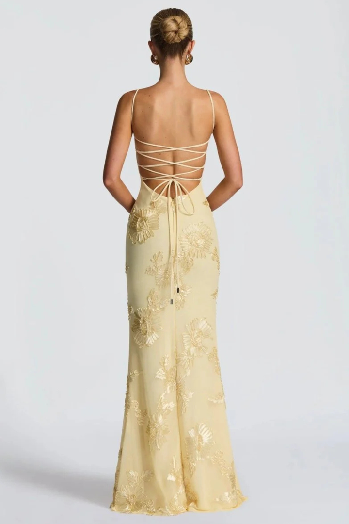 Women's Floral Embroidered Corset Maxi Dress – Sorvienne