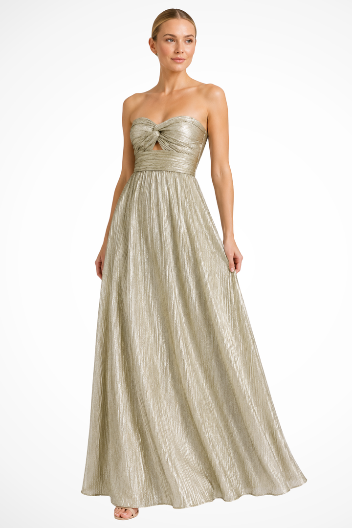 Sorvienne Strapless Twist Front Pleated Maxi Dress in Silver
