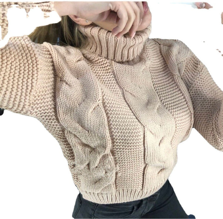 Sorvienne Relaxed Chunky Cable Knit Roll Neck Jumper in Beige